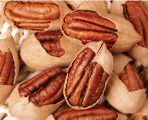 Blue Coral Food Halal cashew nuts - grades 180 210 240 320 with-skin and peeled premium tree nuts for wholesale